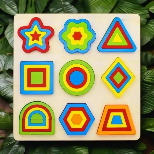 Wooden Geometric Shapes Puzzle Learning Toy (Big Size) - WeToyToy 9 - shapes